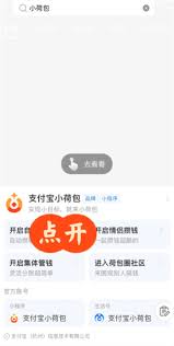 支付宝小荷包情侣自动攒是双方都自动扣钱吗