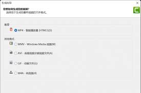Camtasia导出视频播放错误的原因