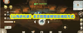 山海进化录跂踵在哪里抓