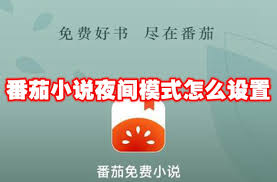 番茄小说如何开启夜间模式