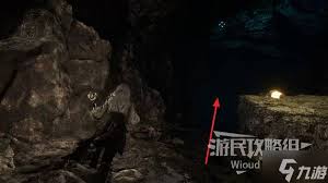 光与影33号远征队双禽首怎么获取