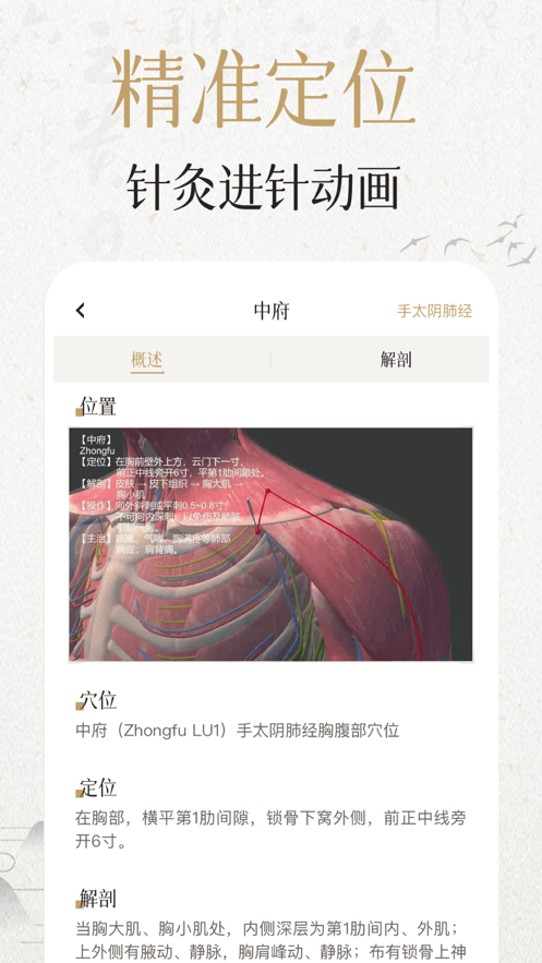 中济经络穴位最新版