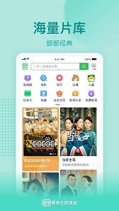 爱奇艺极速版会员能用在爱奇艺上吗