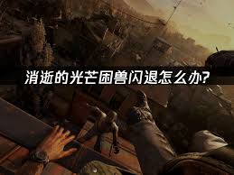 消逝的光芒困兽闪退如何解决