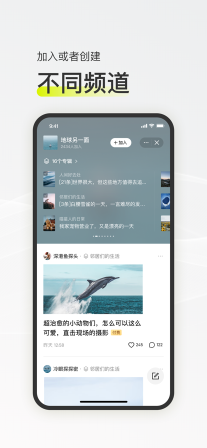 迷岛官网版