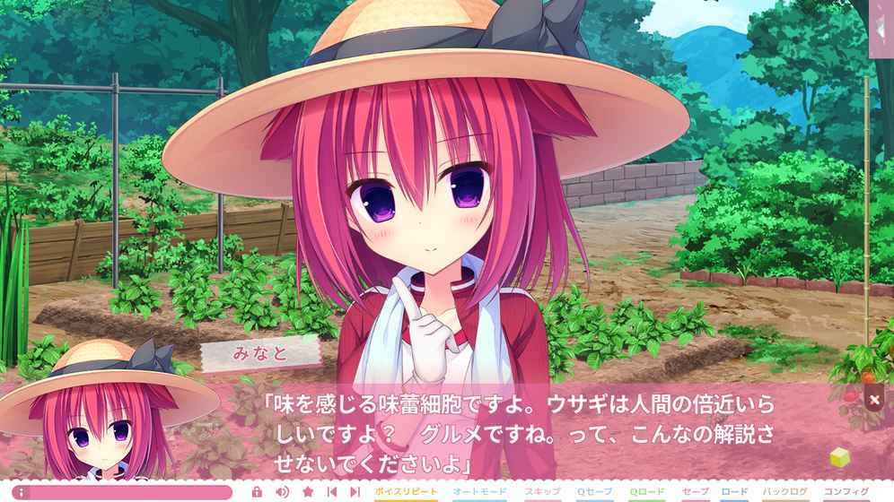 树莓立方体免费版