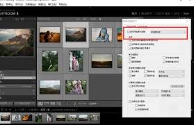 Lightroom怎么显示网格额外信息