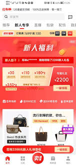 红布林app如何办理会员