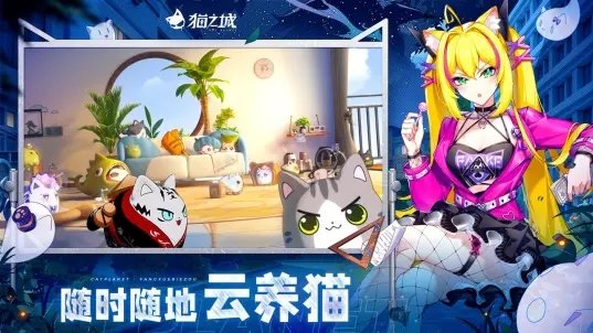 猫之城B服最新版