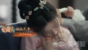 盛世天下是哪个公司的