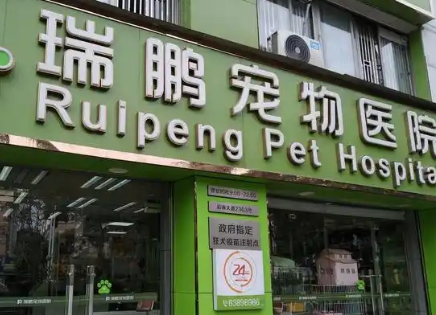 宠物医院的手机app