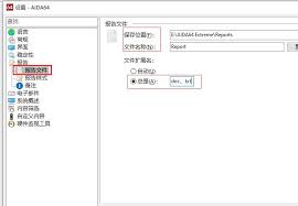 aida64怎么设置自动文件扩展名