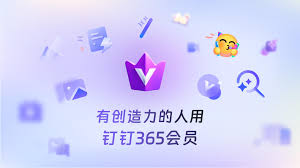 钉钉会员有啥作用