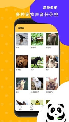 猫狗翻译神器最新版