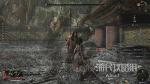 明末渊虚之羽钟乳落石是什么