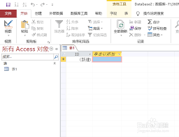 access2010如何开启回历功能