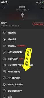 苹果手机网易云歌词如何显示在屏幕上
