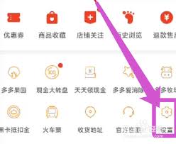 拼多多长辈版多多果园在哪打开