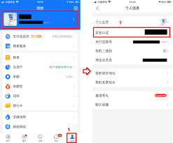 如何设置支付宝APP的支付宝号