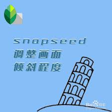 snapseed如何调整画面倾斜程度