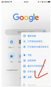 谷歌浏览器打不开网页怎么办