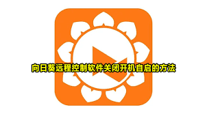 向日葵远程控制软件如何禁止开机启动