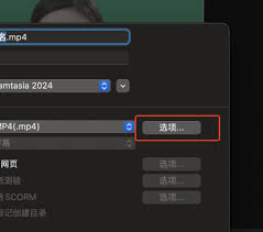 Camtasia导出分辨率怎么设置