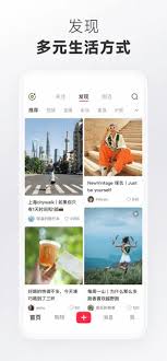 小红书国际版官网入口在哪