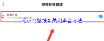 小鸟壁纸如何关闭动态壁纸声音