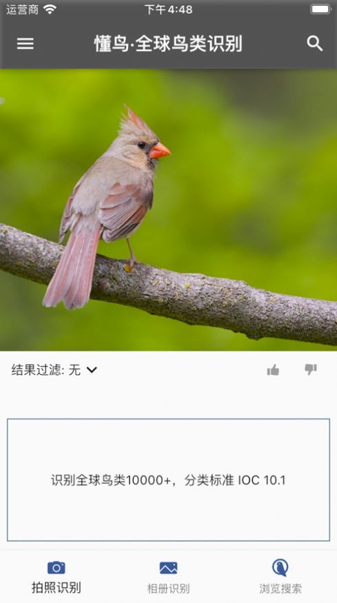 懂鸟全球安卓版