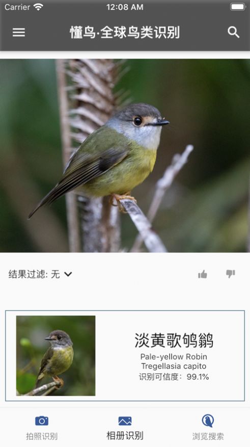 懂鸟全球官网版