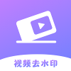 极速去水印大师免费版