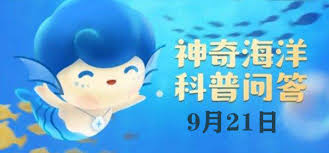 支付宝神奇海洋领航鲸为何能领航