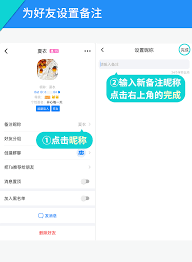 蝙蝠聊天背景如何设置