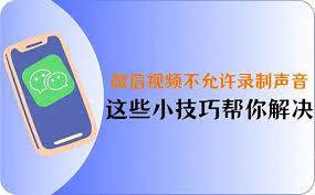 微信视频通话没声音怎么办