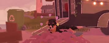 小小书店Harper回忆如何收集