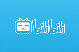 如何将B站完整视频下载到手机相册