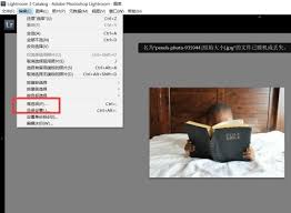 Lightroom如何使用首选项平滑字体
