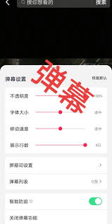 爱奇艺如何设置弹幕大小