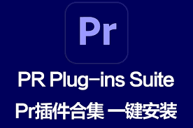 如何在Adobe Premiere Pro 2020中安装插件