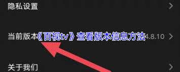 百视tv如何查看版本号