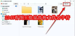 2345看图王如何批量替换文件名中的字符