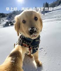 苹果15图标如何变小