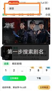 爱奇艺云包场会员能否叠加