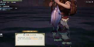 荒原曙光如何钓鱼