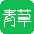 青草小说官网版