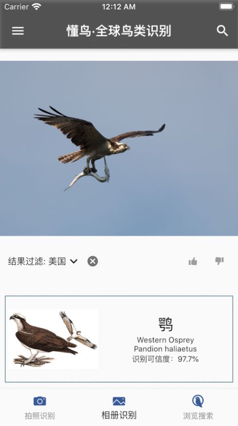 懂鸟全球最新版