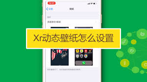苹果xr如何设置动态手机壁纸