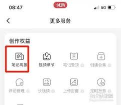 如何查看小红书笔记周报