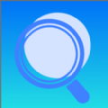 查的准安卓版